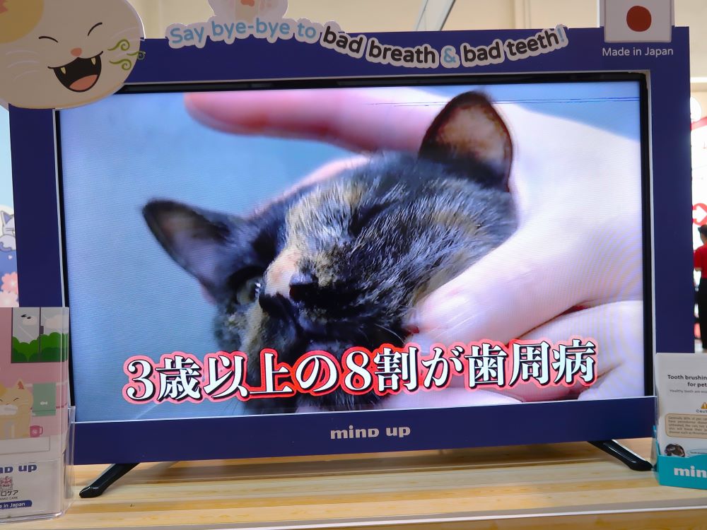 ヘルス