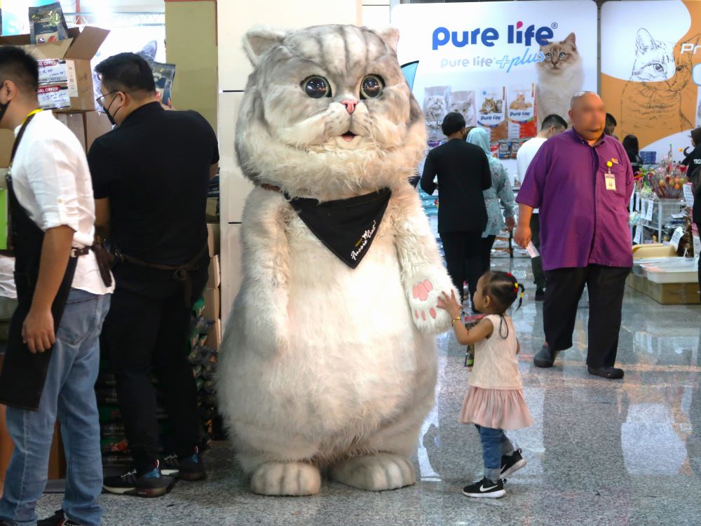 巨大猫1