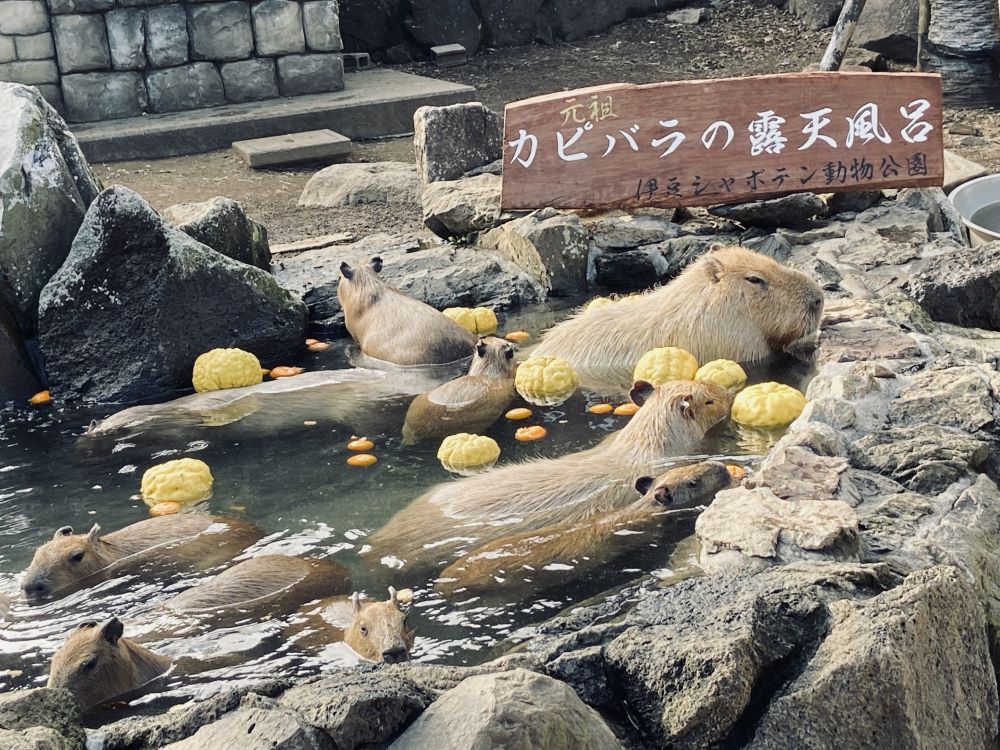温泉