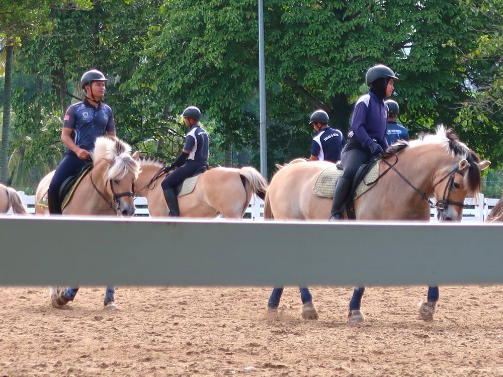 乗馬2