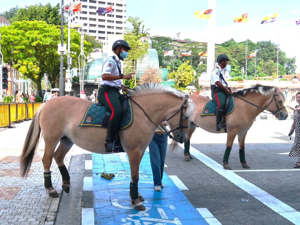 乗馬3