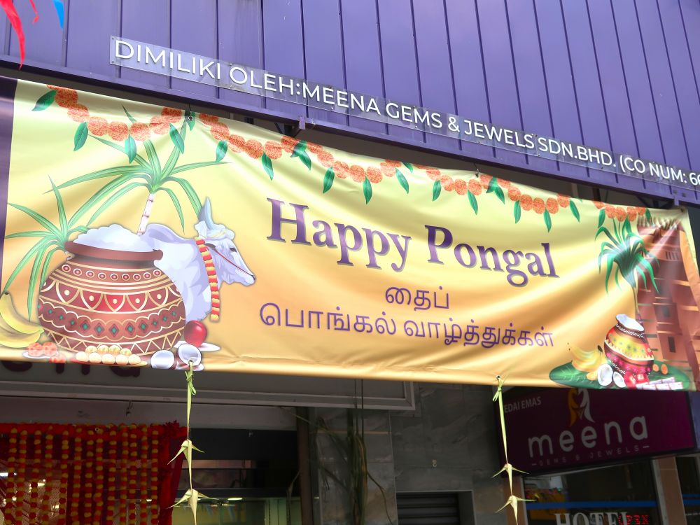 ポンガルバナー１