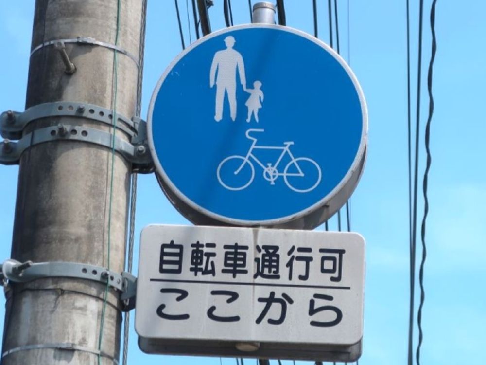 道交法2