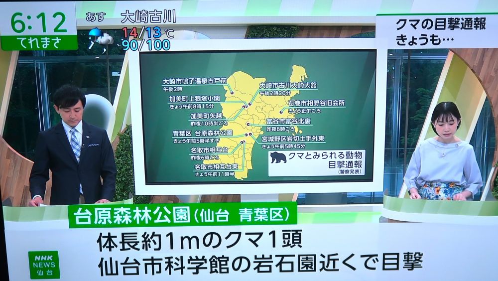 熊2