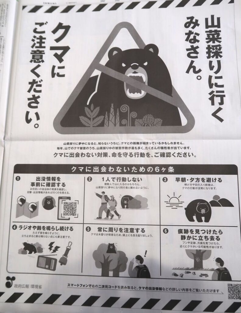 熊3