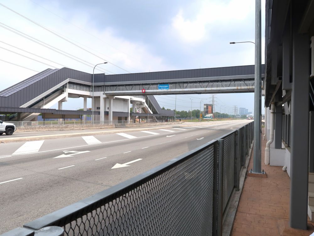 ジョハンセティア2